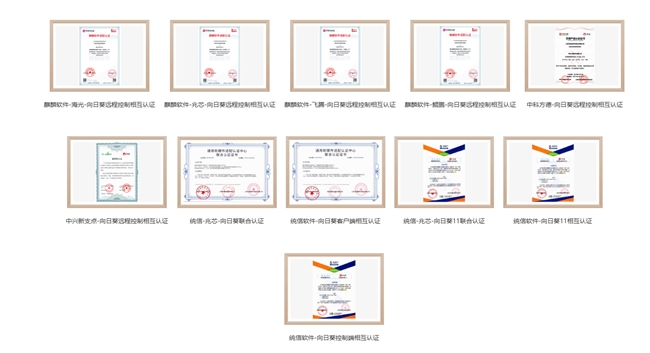 从“能用”到“合规”:向日葵企业版如何筑牢远程控制的安全防线-RadeBit瑞安全